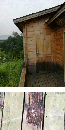 One year of service life forlog materials